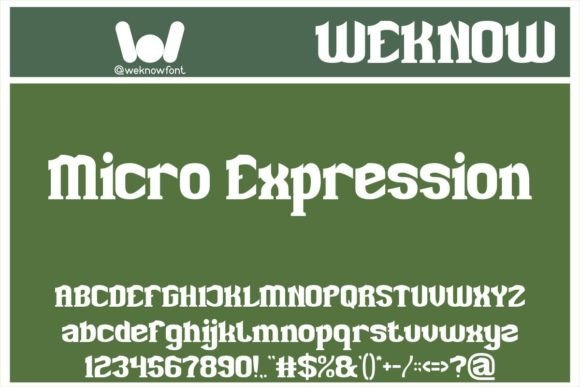 Micro Expression: A Slab Serif Display Font for Playful Yet Professional Branding